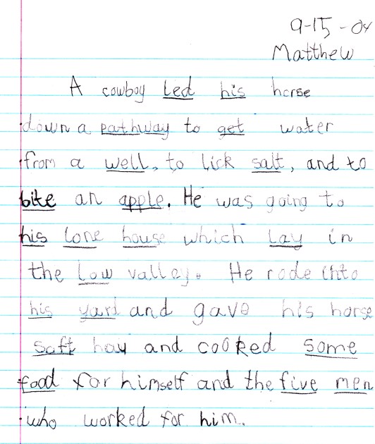 Matthew Spelling Sentences.jpg